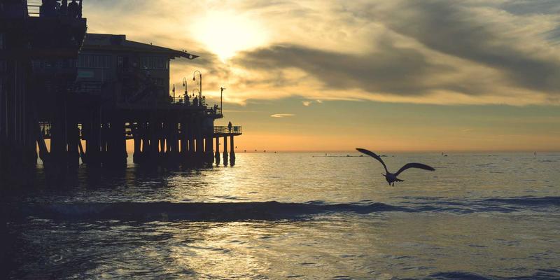 Undead News与僵尸电影：末世伦理困境中的亲属优先、资源分配与道德边界