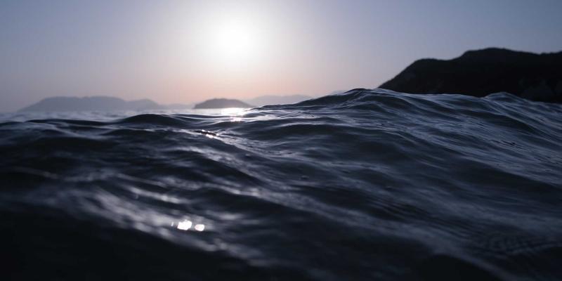 Zombie12：数字时代的文化幽灵与不死族恐惧的现代重构