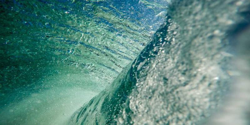 Zombie29：当娱乐新闻成为数字时代的恐怖寓言