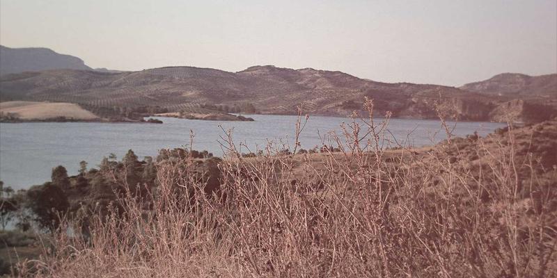 《Zombie 3》：恐怖娱乐电影的另类狂欢与时代回响