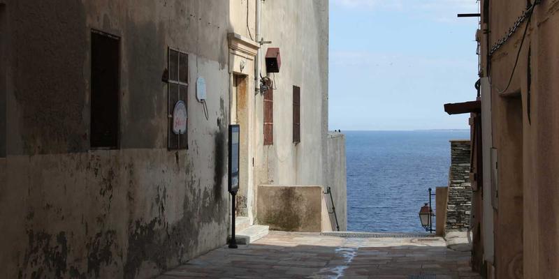 Zombie43：当都市传说成为全球性恐慌