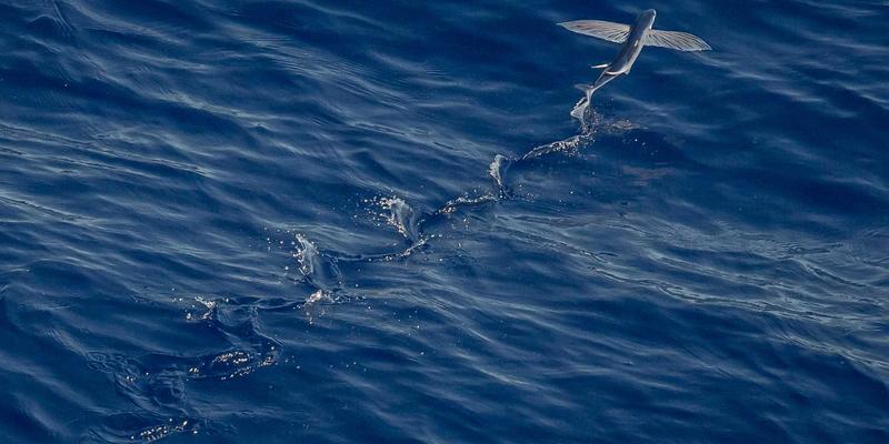 Zombie53:当僵尸文化席卷娱乐与游戏领域的现象级浪潮