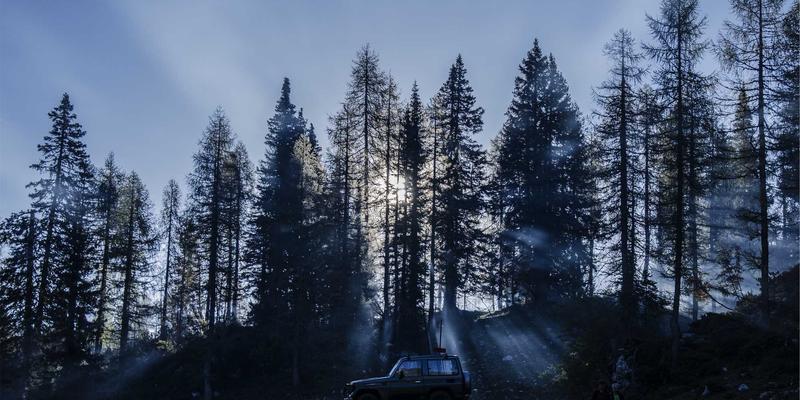 Zombie93：当末日新闻成为现实，我们如何面对这场寂静的恐怖？