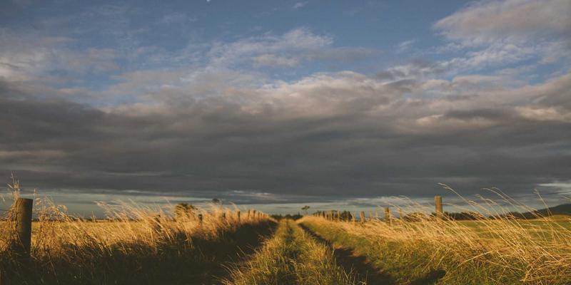 Zombie97：被遗忘的恐怖电影遗产及其对现代恐怖片的影响