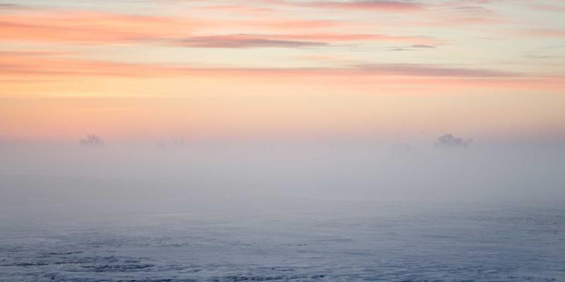 Zombie文化浪潮：从恐怖电影到沉浸式游戏的跨媒介进化史