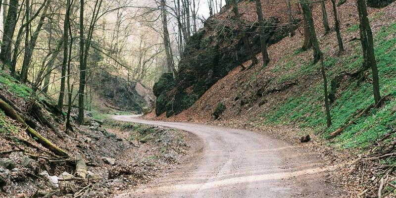 从《僵尸末日》到现实危机：垂直农场如何成为食物安全的生存堡垒