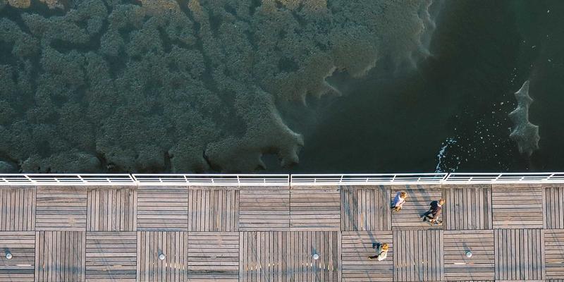从恐怖游戏与电影到疗愈：僵尸叙事如何隐喻创伤与情感麻木