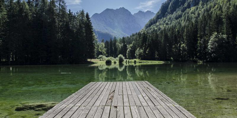 从恐怖电影到生存指南：僵尸爆发后小型社区的治理与领导力启示
