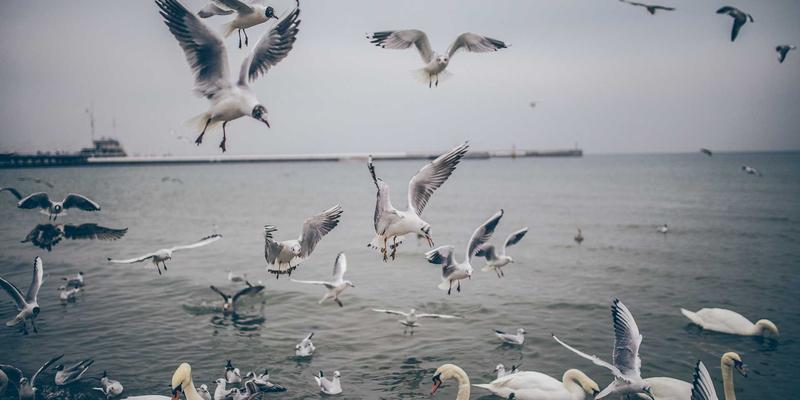 从恐惧到流行：僵尸文化如何成为全球娱乐现象