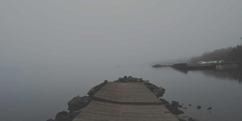 从文化现象到生存指南：僵尸题材的跨媒介演变与深层解读