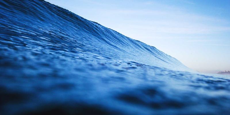 从新闻、文化到游戏：后人类主义视角下的僵尸叙事如何重塑我们对身体、意识与技术伦理的认知