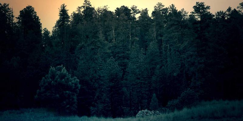 从末世电影到现实启示：后僵尸时代的生态重建与娱乐反思