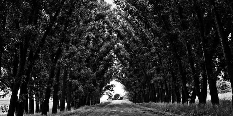 从游戏到现实：基因编辑技术会否开启真正的僵尸末日？