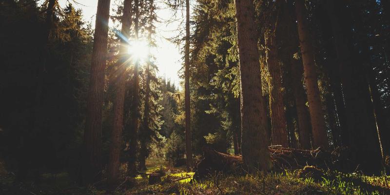从《行尸走肉》到《最后生还者》：娱乐文化中的后启示录建筑学与末世栖居设计