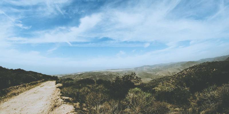 僵尸新闻与文化解码：被感染躯壳如何隐喻权力、规训与反抗