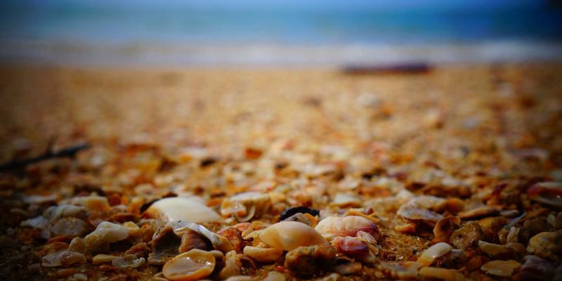 僵尸经济启示录：末日情境下的货币、贸易与资源分配体系研究