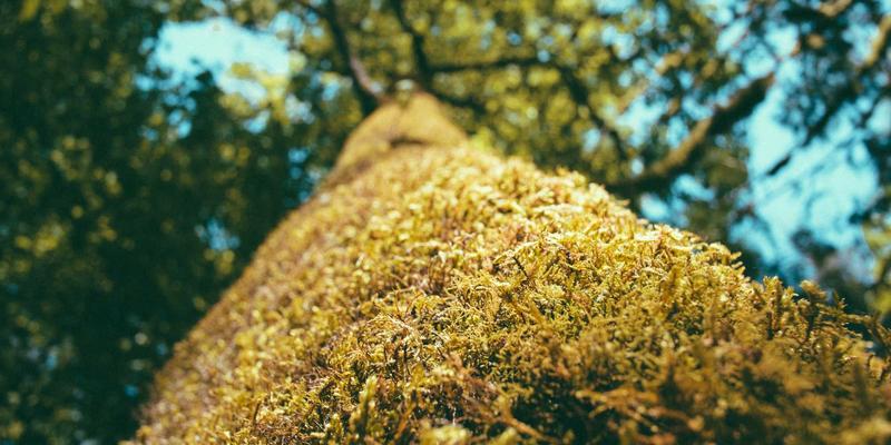 当文明崩塌：僵尸末日电影如何揭示集体记忆与文化遗产保存的伦理困境