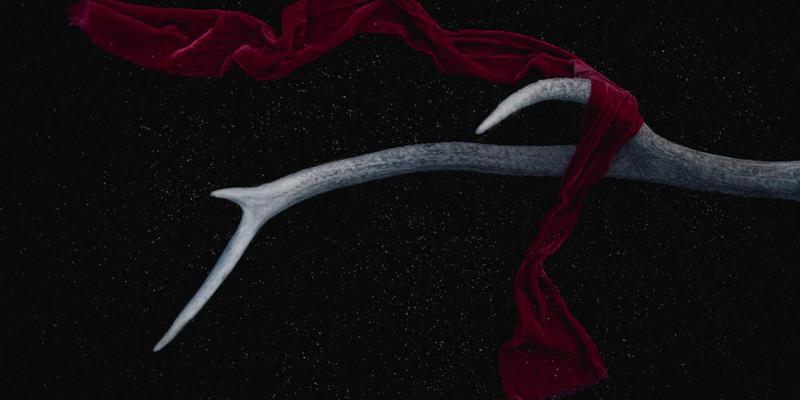 末日恐惧的具象化：僵尸流行文化如何投射社会集体心理创伤